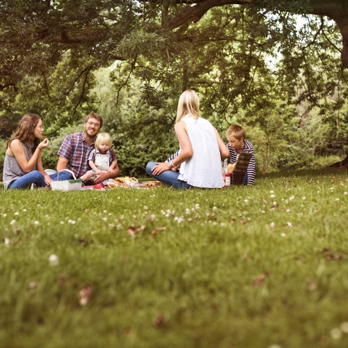 National Picnic Week 2021